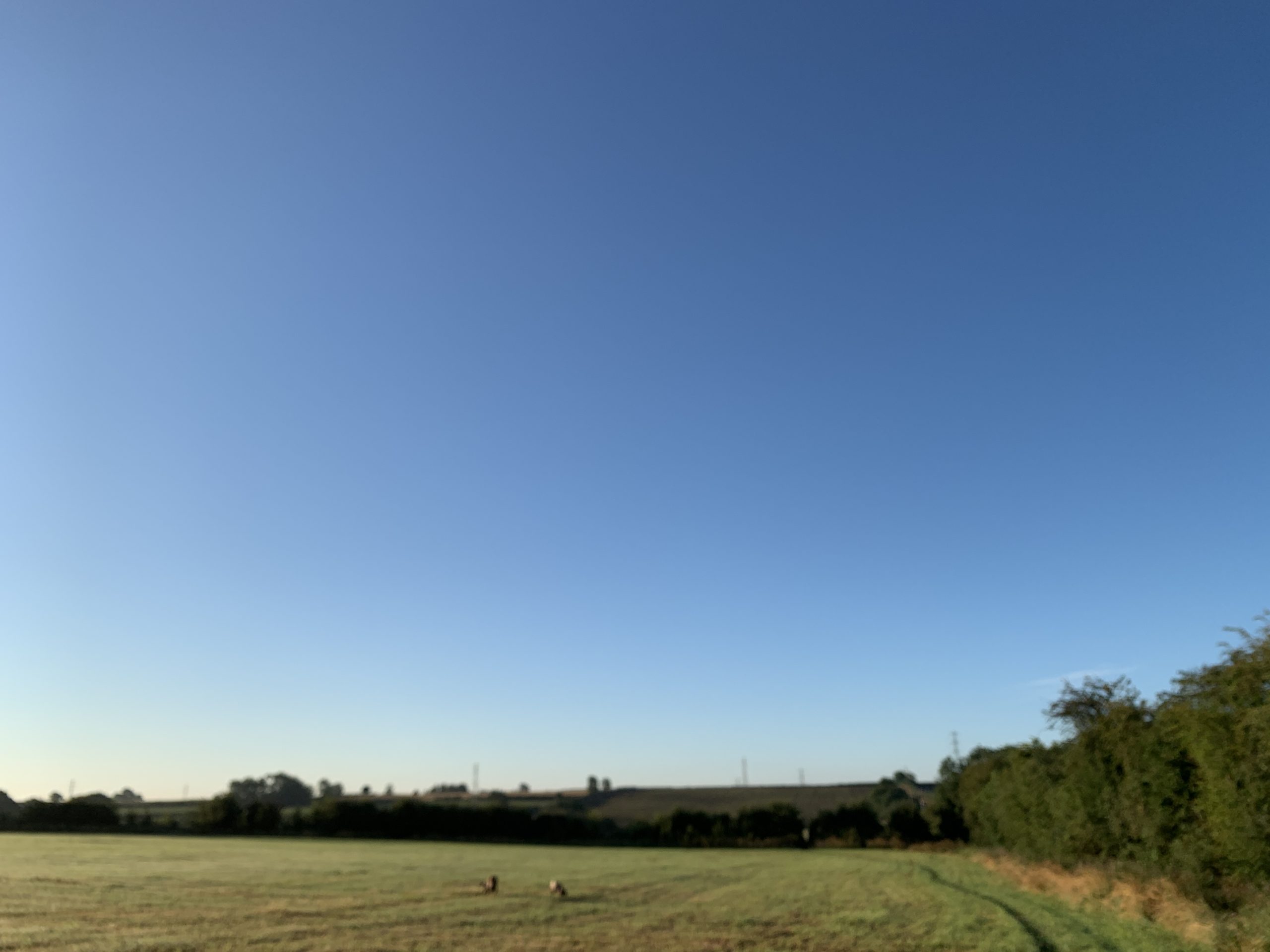 blue sky